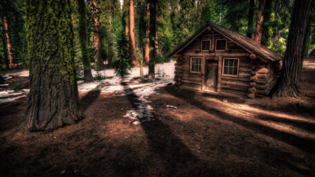 Cabin in Yosemite