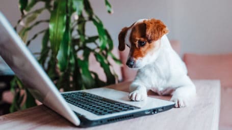 Website Theme Demo