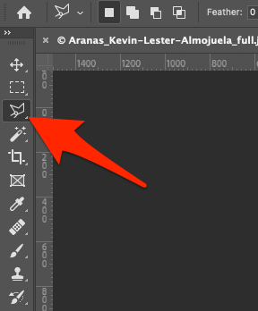 Select the Polygonal Lasso Tool in Photoshop